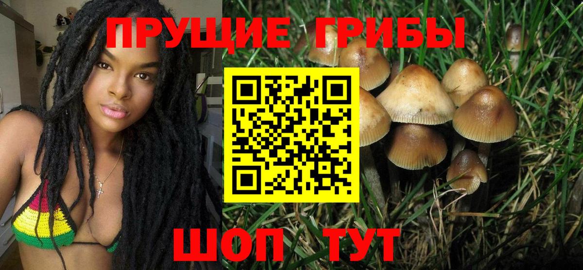 Севастополь  Псилоцибиновые грибы ЛСД  закладка  Вход с VPN 